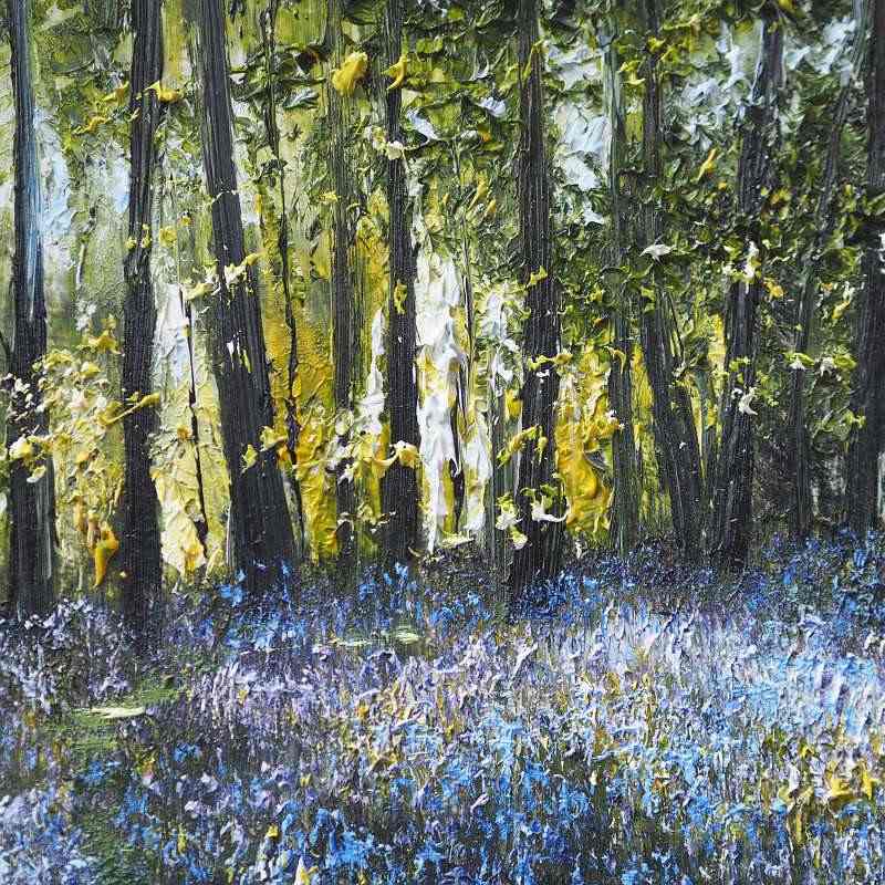 Bluebell Lights - Mark Eldred