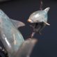 PA255738