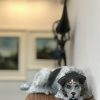 Bronze Dog Adil Vezir Kilbaha Gallery