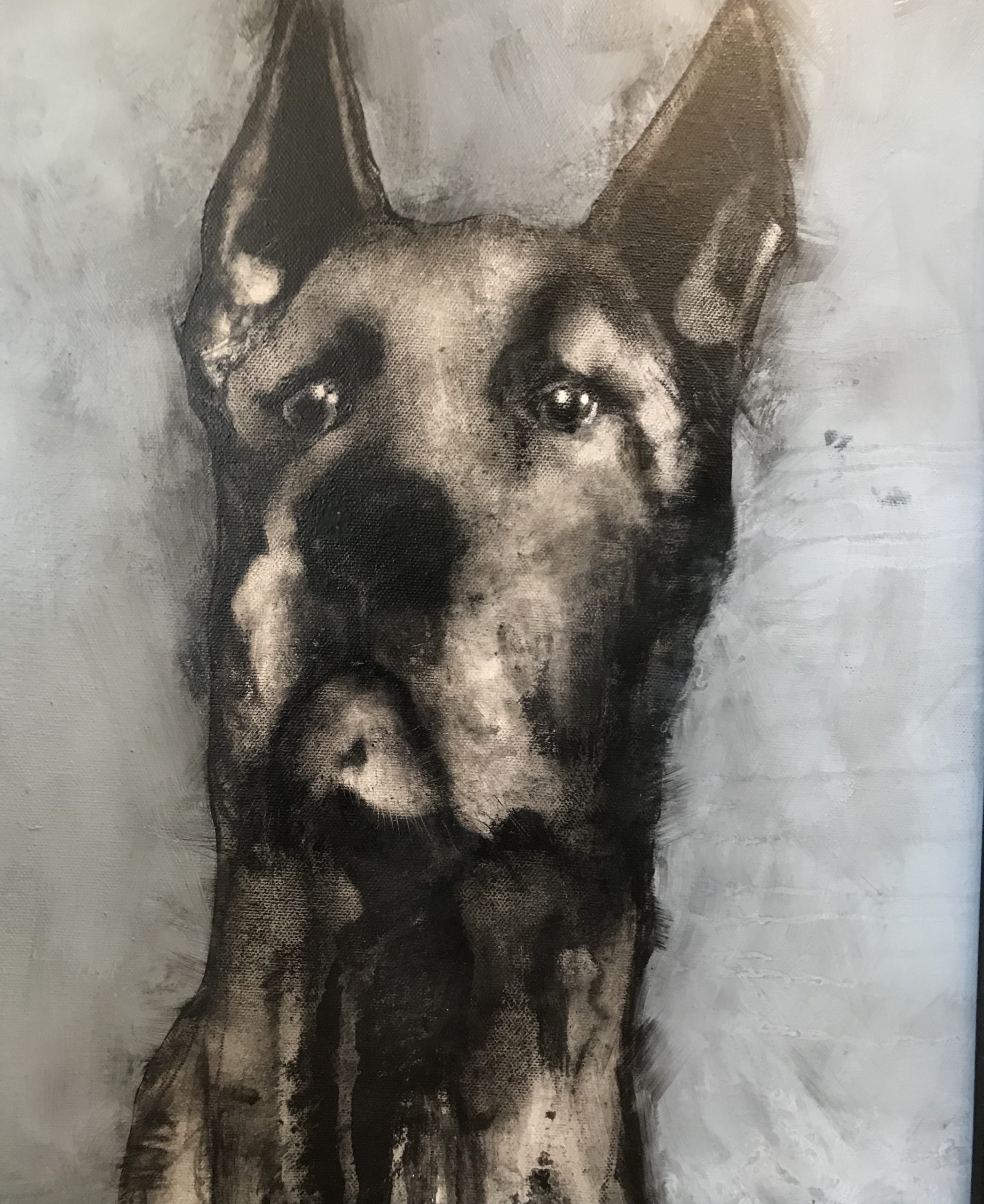 Startled Dane II - Heidi Wickham - Kilbaha Gallery