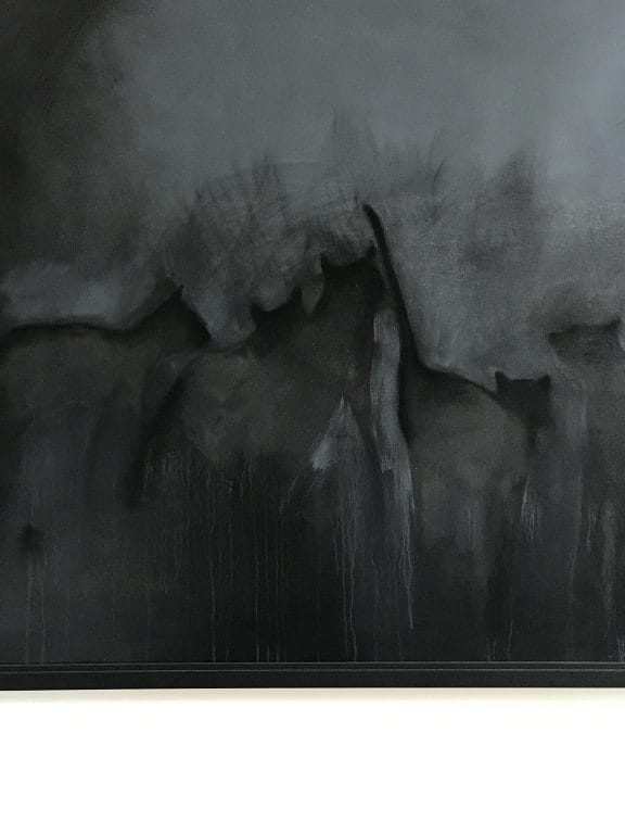 Heidi Wickham Kilbaha Gallery Shadow Cats