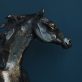 Siobhan Bulfin - Arabian Horses - Bronze - Kilbaha Gallery