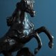 Siobhan Bulfin - Arabian Horses - Bronze - Kilbaha Gallery