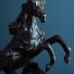 Siobhan Bulfin - Arabian Horses - Bronze - Kilbaha Gallery
