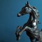 Siobhan Bulfin - Arabian Horses - Bronze - Kilbaha Gallery