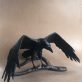 Bronze Raven by Adam Pomeroy for Kilbaha Gallery Buy Irish Art Online