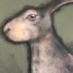 Hares by Heidi Wickham for Kilbaha Gallery