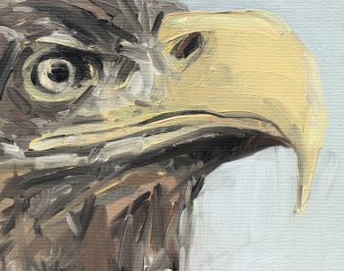 Kaye Maahs for Kilbaha Gallery