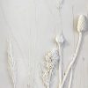 Edel Reid for Kilbaha Gallery
