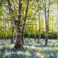 Bluebell Walk Muckross by Mark Eldred for Kilbaha Gallery