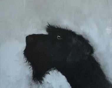 Dog on Blue Heidi Wickham