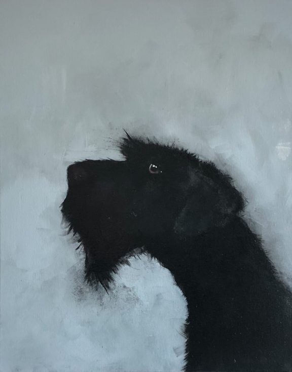 Dog on Blue Heidi Wickham