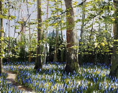 Bluebells and Celandines by Mark Eldred for Kilbaha Gallery