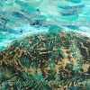 Eadaoin Harding Kemp for Kilbaha Gallery Buy Irish Art Online