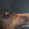 Heidi Wickham for Kilbaha Gallery Buy Irish Art Online