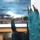 Bronze Dog Seamus Connolly Kilbaha Gallery Buy Irish Art Online