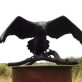 Bronze Raven by Adam Pomeroy for Kilbaha Gallery Buy Irish Art Online