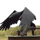 Bronze Raven by Adam Pomeroy for Kilbaha Gallery Buy Irish Art Online