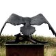 Bronze Raven by Adam Pomeroy for Kilbaha Gallery Buy Irish Art Online