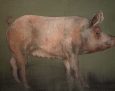 Pig by Heidi Wickham for Kilbaha Gallery Buy Irish Art Online