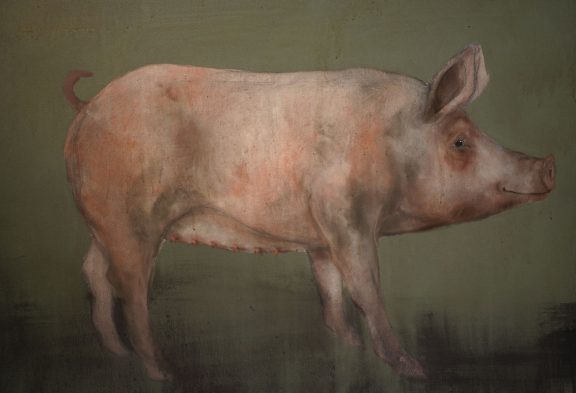 Pig by Heidi Wickham for Kilbaha Gallery Buy Irish Art Online