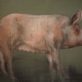 Pig by Heidi Wickham for Kilbaha Gallery Buy Irish Art Online