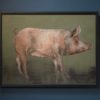Pig by Heidi Wickham for Kilbaha Gallery Buy Irish Art Online