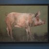 Pig by Heidi Wickham for Kilbaha Gallery Buy Irish Art Online