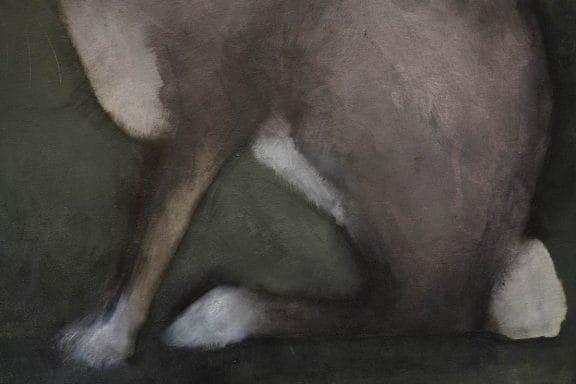 hare on green Heidi Wicham for Kilbaha Gallery Buy Irish Art Online