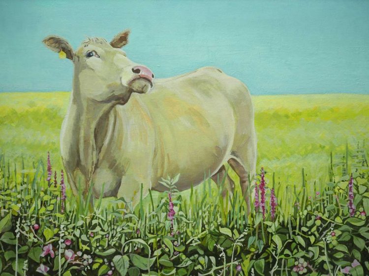 Posing Blonde Bullock by Ruth Wood for Kilbaha Gallery