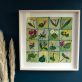 The Wildflower Medley - Carmel Madigan for Kilbaha Gallery - Buy Irish Art