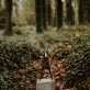 Donnacha Cahill for Kilbaha Gallery Buy Irish Art Online