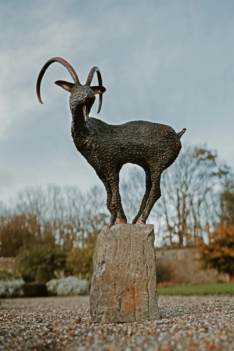 Bronze Goat by Donnacha Cahill for Kilbaha Gallery Buy Irish Art online