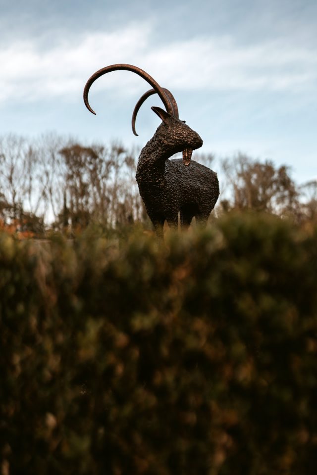 Bronze Goat by Donnacha Cahill for Kilbaha Gallery Buy Irish Art online