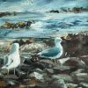 Seagulls by D - Buy Irish Art - D - Kilbaha Gallery