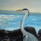Herron by D - Buy Irish Art - D - Kilbaha Gallery
