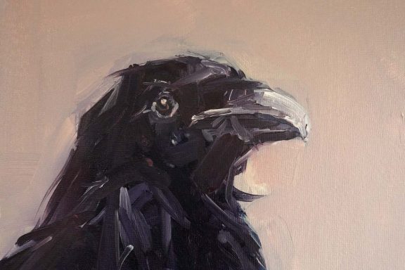 Jackdaw oil on canvas by Kaye Maahs for Kilbaha Gallery Buy Irish Art Online