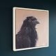 Jackdaw oil on canvas by Kaye Maahs for Kilbaha Gallery Buy Irish Art Online