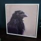 Jackdaw oil on canvas by Kaye Maahs for Kilbaha Gallery Buy Irish Art Online