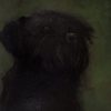 Heidi Wickham for Kilbaha Gallery Buy Irish Art Online