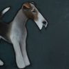 Arthur by Heidi Wickham for Kilbaha Gallery Buy Irish Art Online