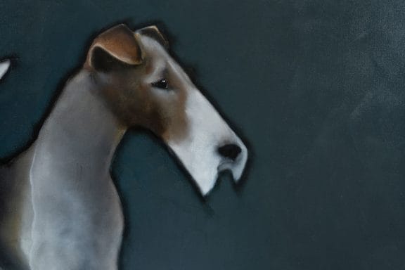Arthur by Heidi Wickham for Kilbaha Gallery Buy Irish Art Online
