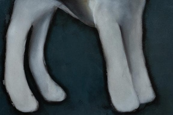 Arthur by Heidi Wickham for Kilbaha Gallery Buy Irish Art Online