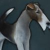 Arthur by Heidi Wickham for Kilbaha Gallery Buy Irish Art Online