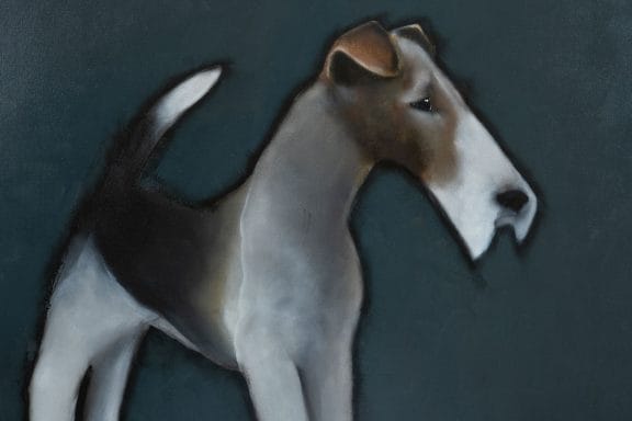 Arthur by Heidi Wickham for Kilbaha Gallery Buy Irish Art Online