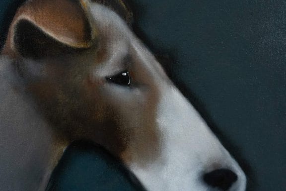 Arthur by Heidi Wickham for Kilbaha Gallery Buy Irish Art Online