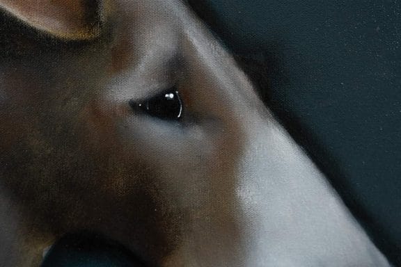 Arthur by Heidi Wickham for Kilbaha Gallery Buy Irish Art Online
