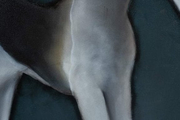 Arthur by Heidi Wickham for Kilbaha Gallery Buy Irish Art Online