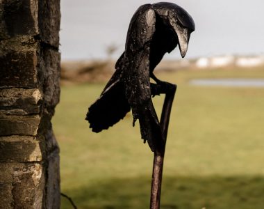 Raven by Adam Pomeroy for Kilbaha Gallery Buy Irish Art Online