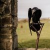 Raven by Adam Pomeroy for Kilbaha Gallery Buy Irish Art Online